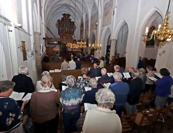 Projectzangers/zangeressen gezocht voor kerstconcert